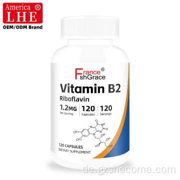 Hochwertiges Shecome-Vitamin-B2-Ergänzungsmittel für die Immungesundheit